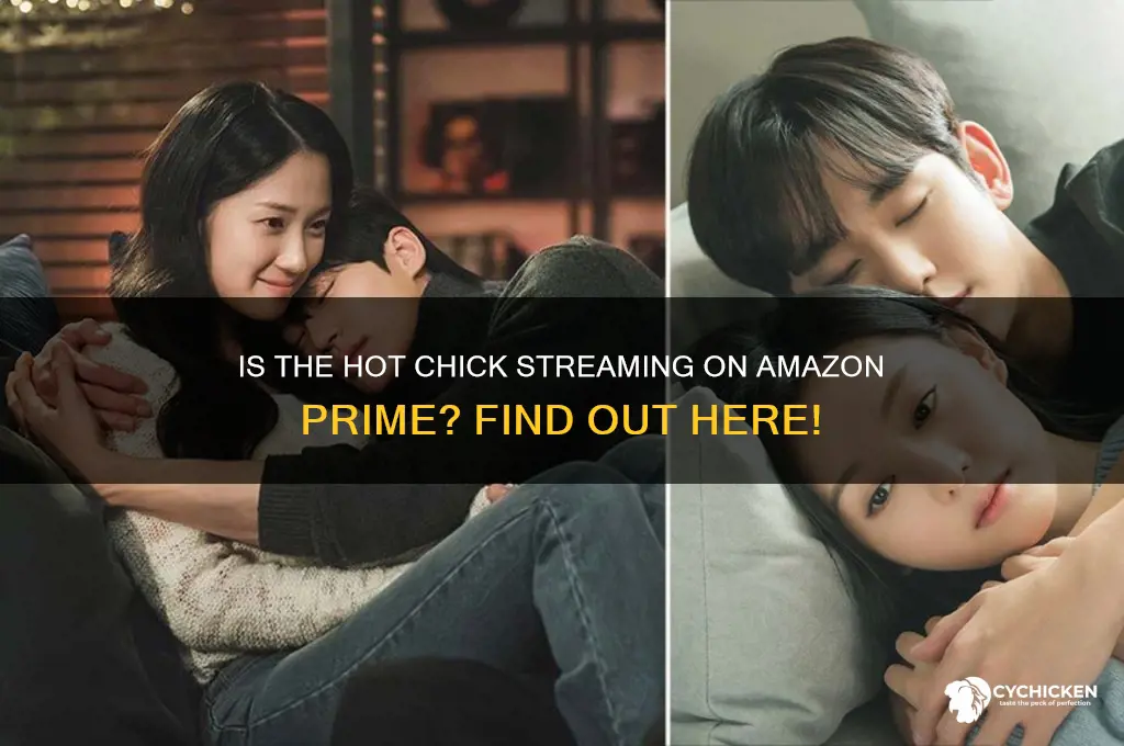 is the hot chick on amazon prime