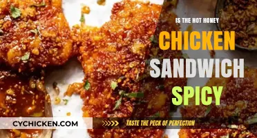 Is the Hot Honey Chicken Sandwich Spicy? A Fiery Review