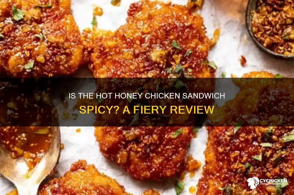is the hot honey chicken sandwich spicy