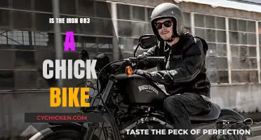 Is the Iron 883 a Chick Bike? Debunking Myths