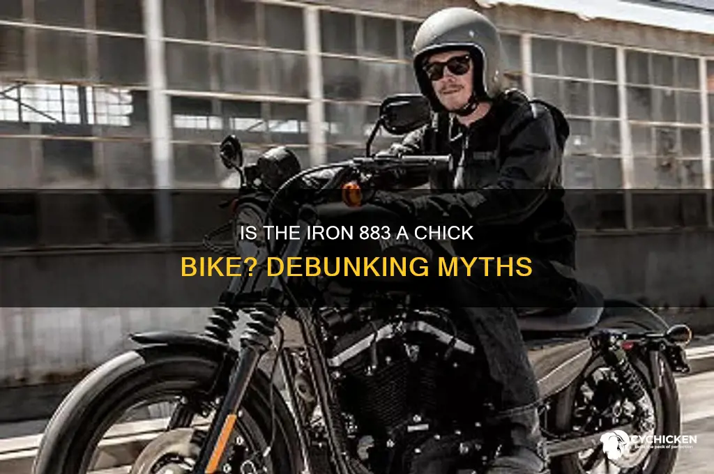 is the iron 883 a chick bike