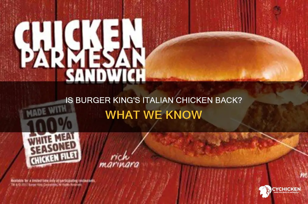 is the italian chicken back at burger king