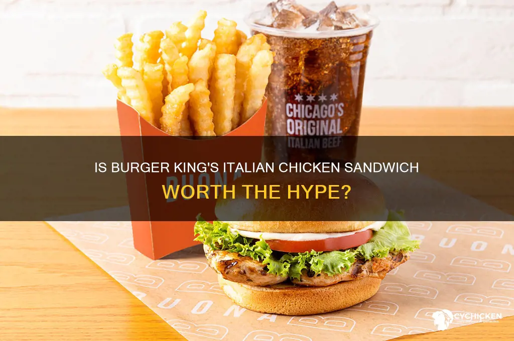 is the italian chicken sandwich at burger king