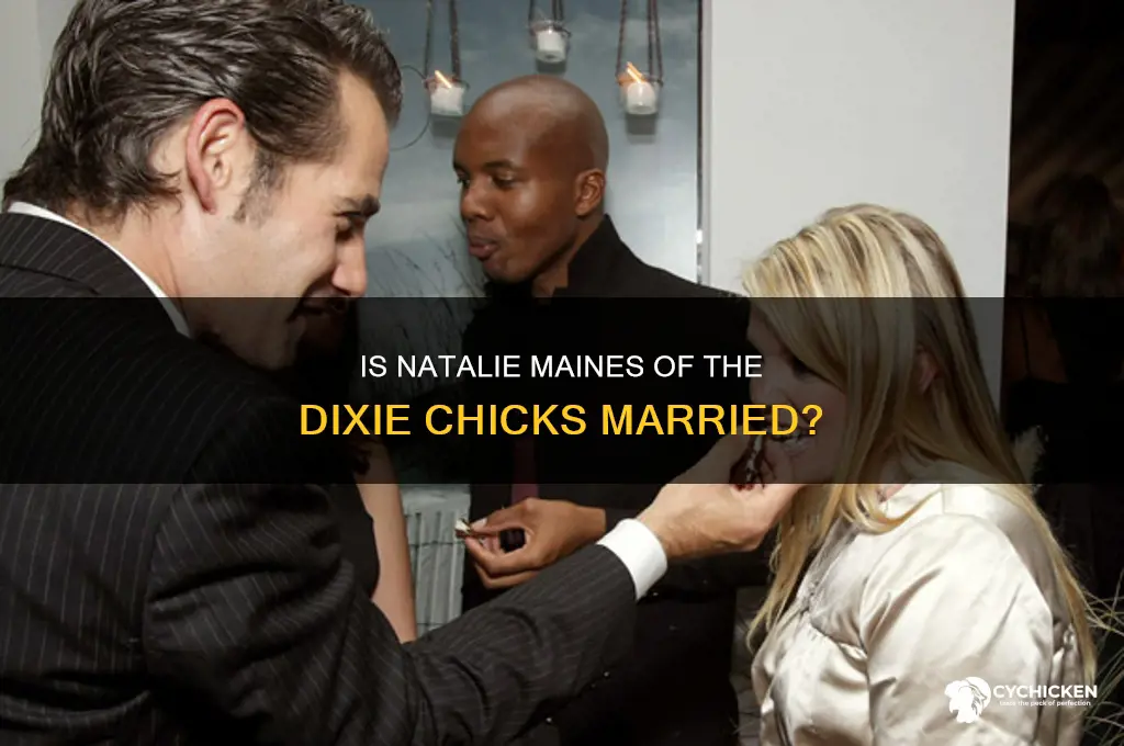 is the lead singer of dixie chicks married