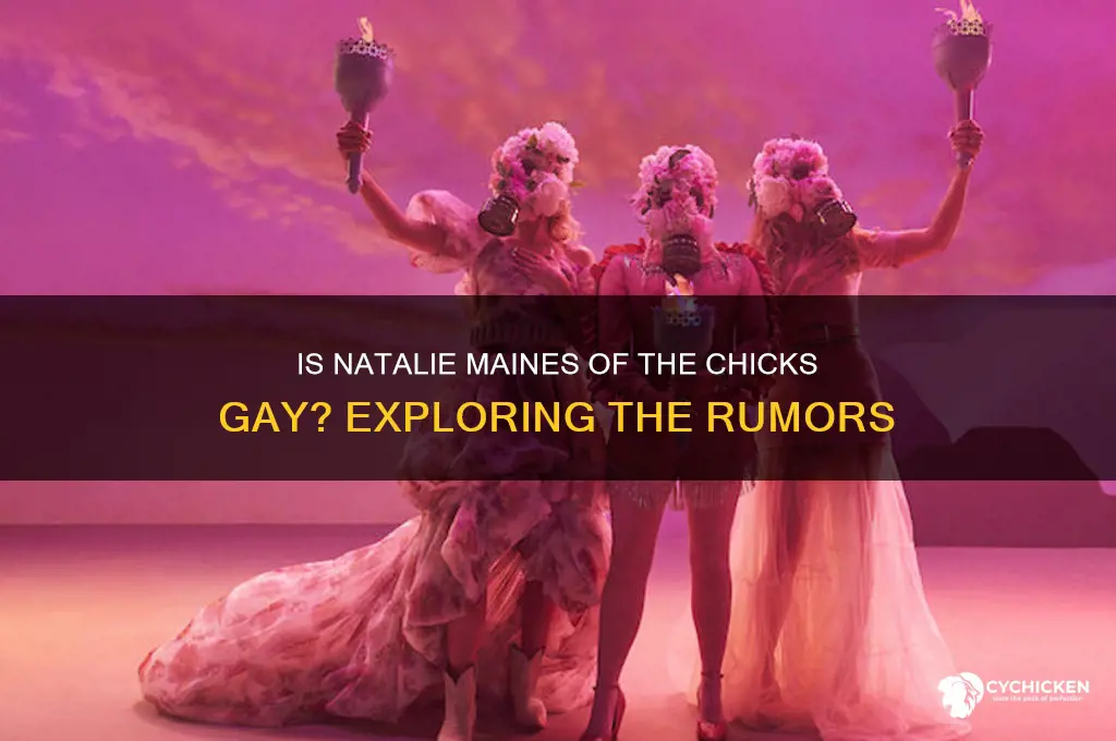 is the lead singer of the chicks gay