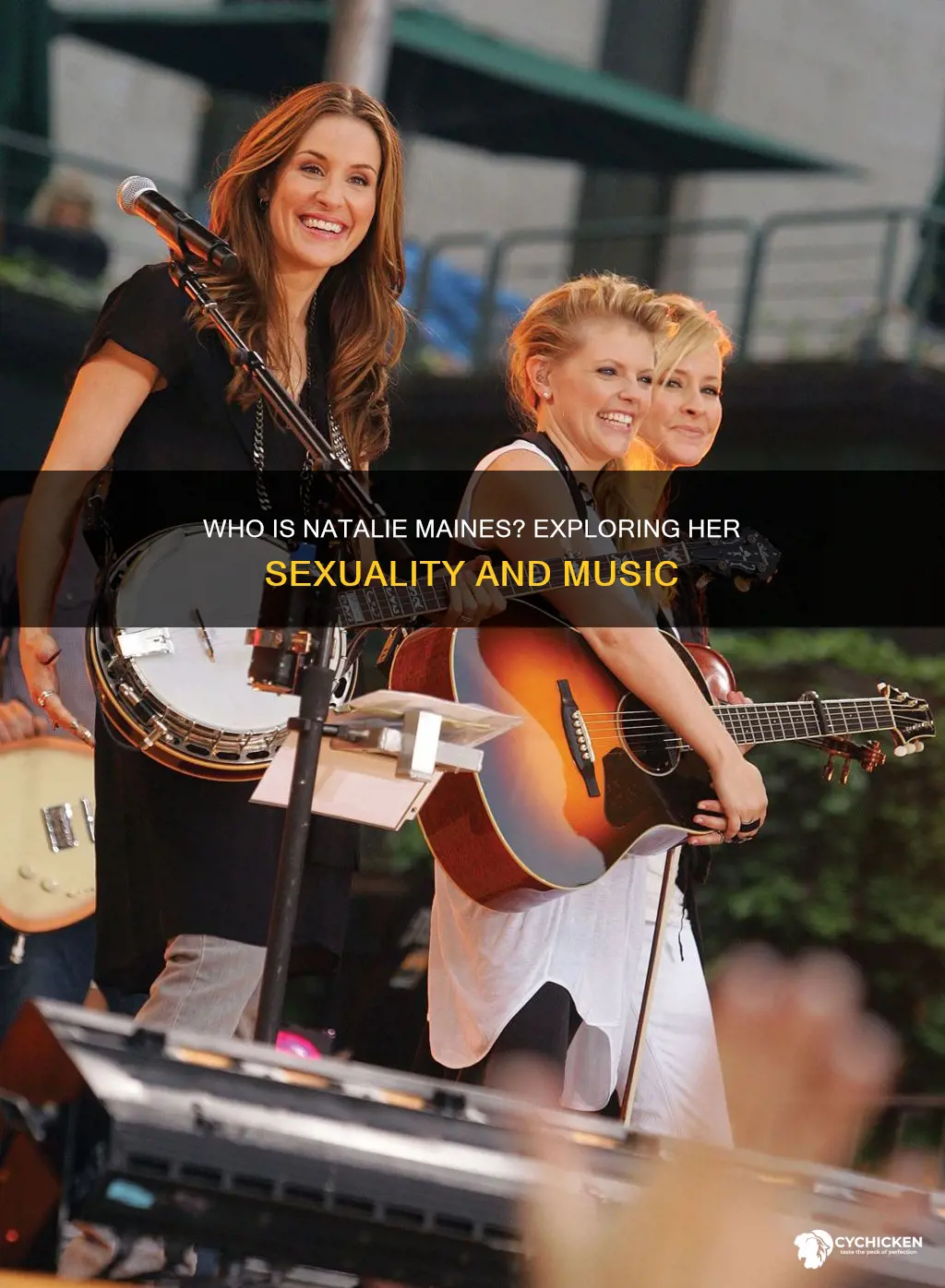 is the lead singer of the dixie chicks gay
