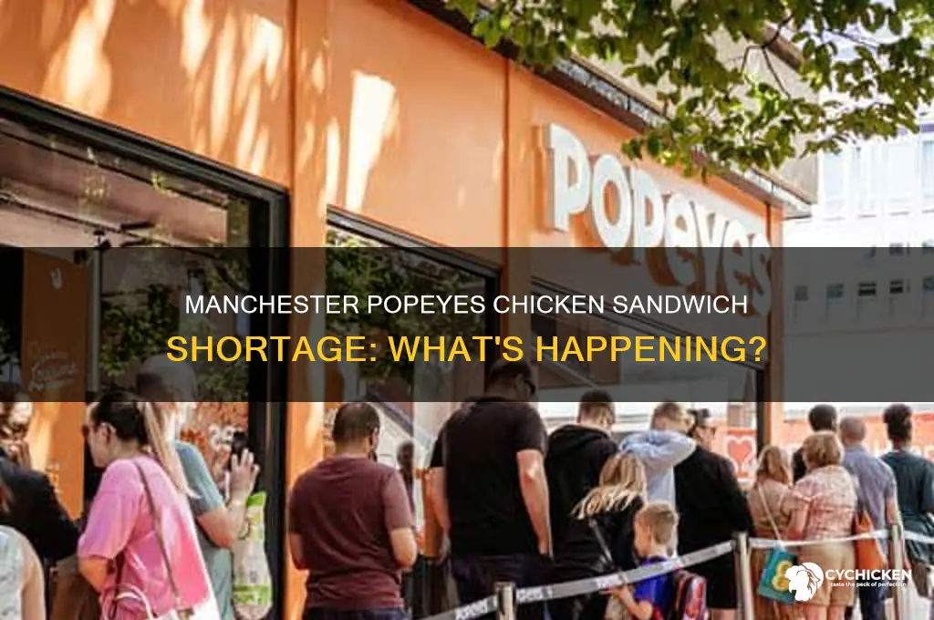 is the manchester popeyes out of the chicken sandwich