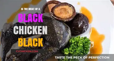 Is Black Chicken Meat Black? Uncovering the Truth Behind the Myth