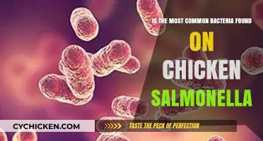 Chicken and Salmonella: A Common Concern?