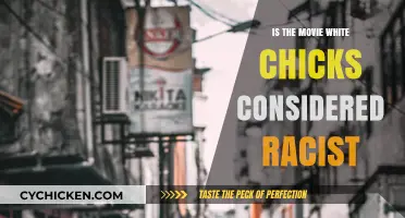 White Chicks: Racist Humor or Harmless Comedy? A Critical Analysis