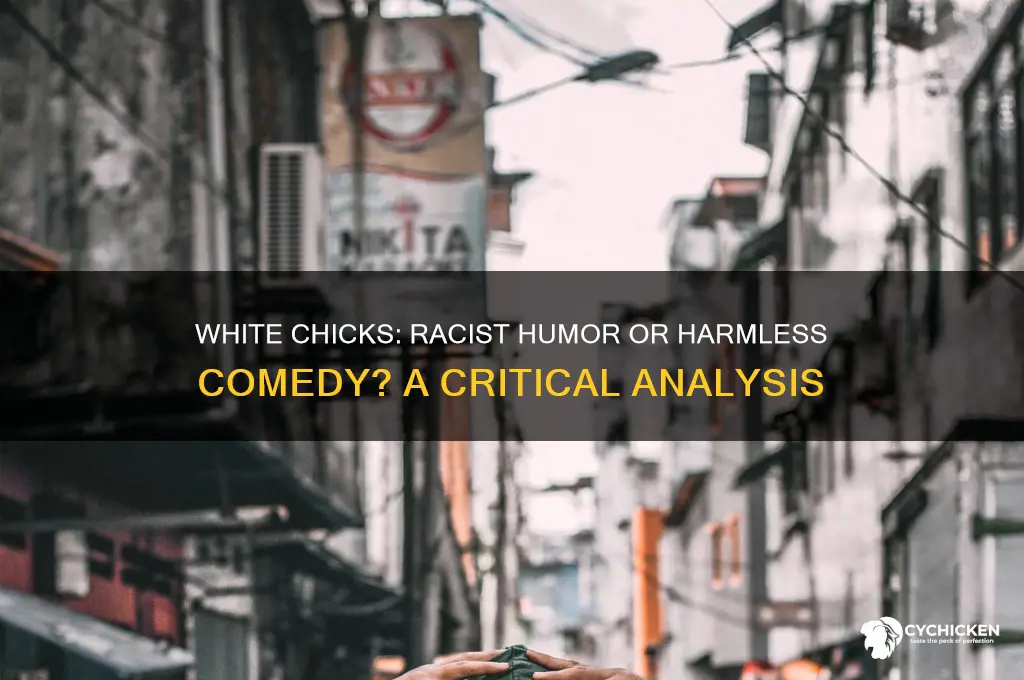 is the movie white chicks considered racist