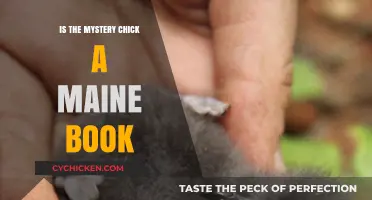 Is the Mystery Chick a Maine Book? Unraveling the Literary Enigma