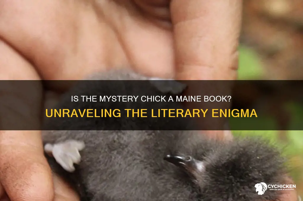 is the mystery chick a maine book