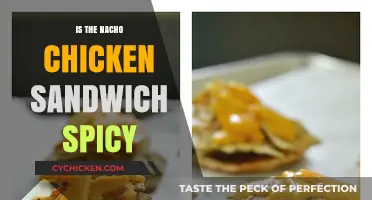 Is the Nacho Chicken Sandwich Spicy? A Flavorful Review
