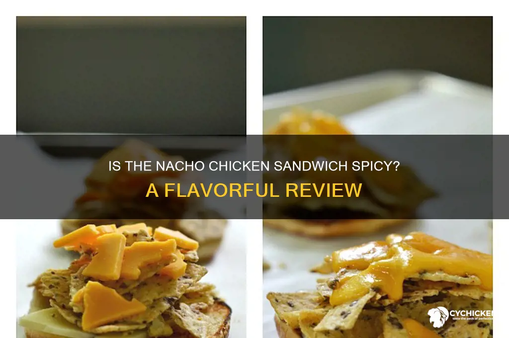 is the nacho chicken sandwich spicy