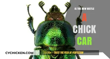 Is the New Beetle a Chick Car? Debunking Gender Stereotypes in Automotive Culture