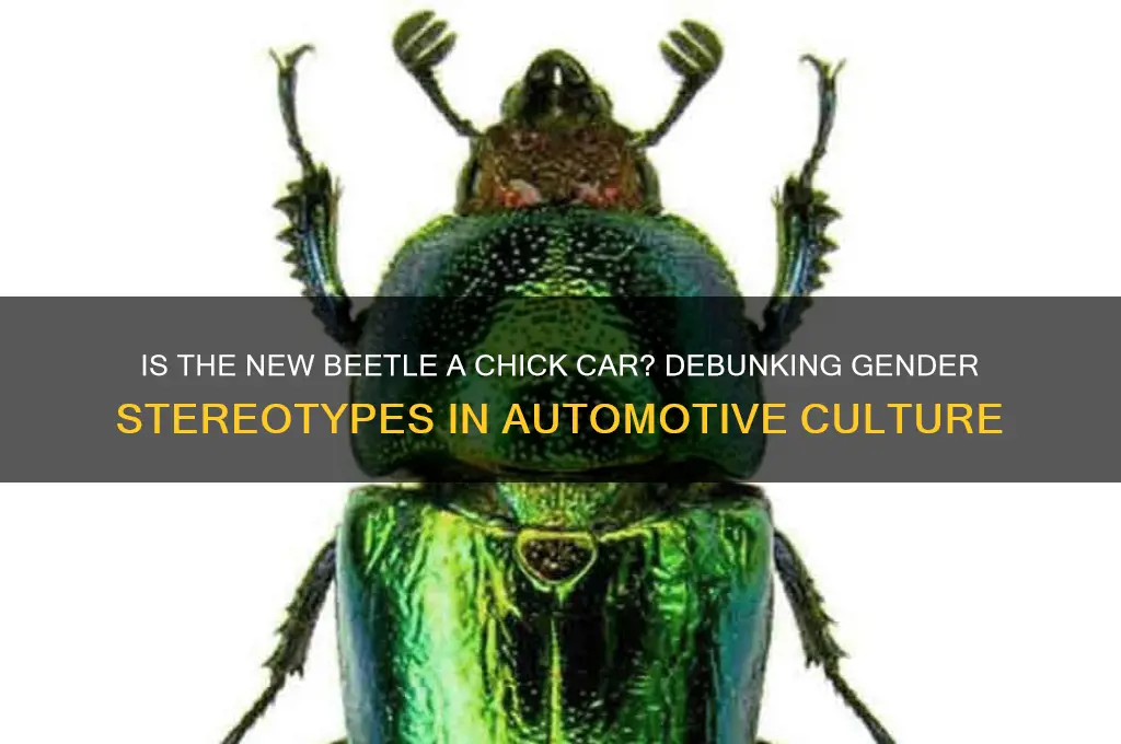is the new beetle a chick car