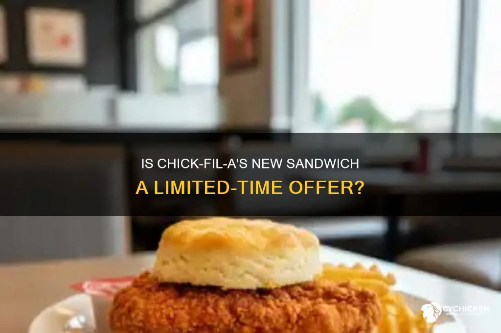 is the new chick fil a sandwich limited time