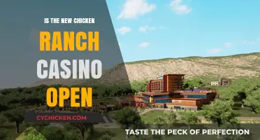 Is the New Chicken Ranch Casino Open? Latest Updates and Details