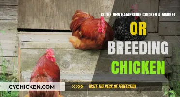 Market or Breeding: What's the New Hampshire Chicken's Purpose?