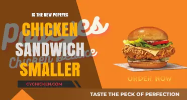 Is the Popeyes Chicken Sandwich Shrinking? Size Concerns Explained