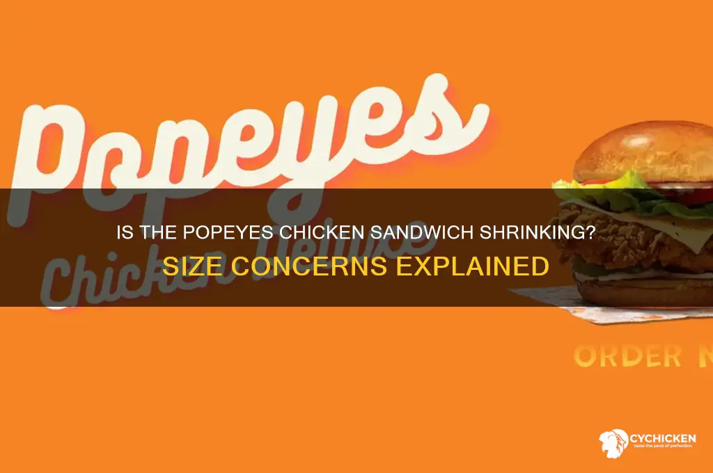 is the new popeyes chicken sandwich smaller