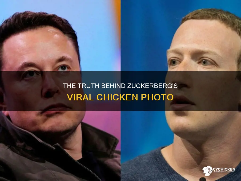 is the pic of mark zuckerberg holding a chicken real