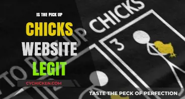 Is Pick Up Chicks Legit? Uncovering the Truth Behind the Website