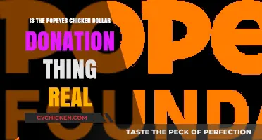 Popeyes' Dollar Donation Deal: Fact or Fiction?