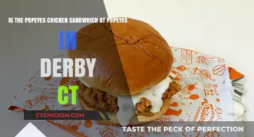 Popeyes Chicken Sandwich: Worth the Hype?