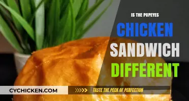 Popeyes Chicken Sandwich: Unique or Just Another Fast-Food Trend?