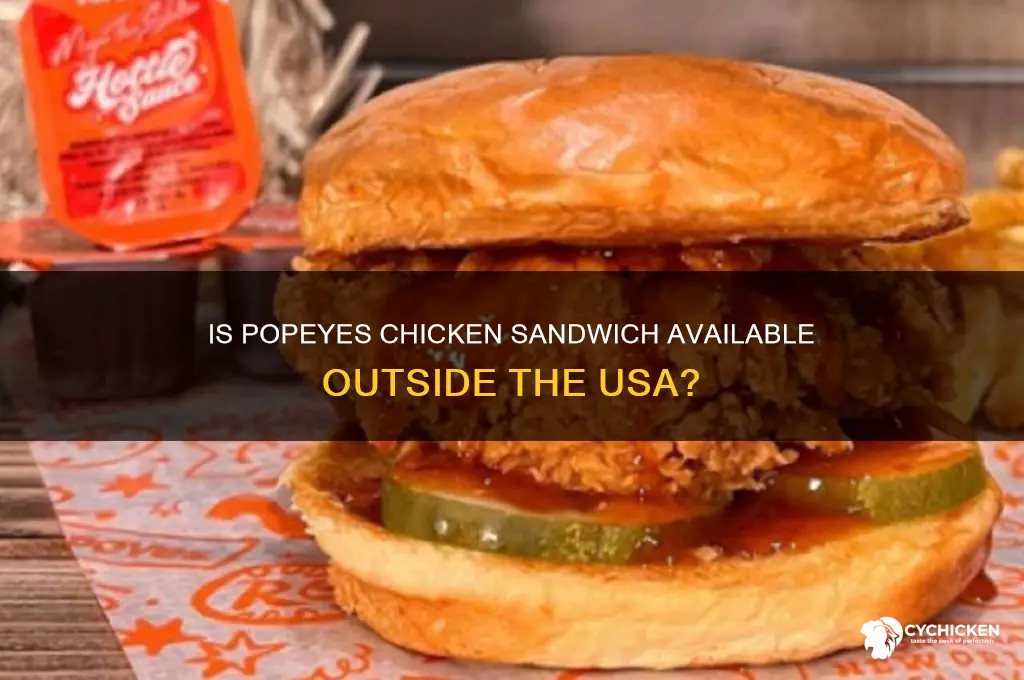 is the popeyes chicken sandwich only in usa