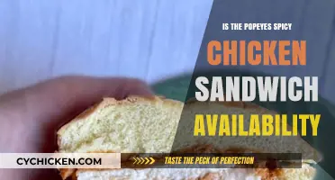 Popeyes Spicy Chicken Sandwich Availability: Where and When to Find It