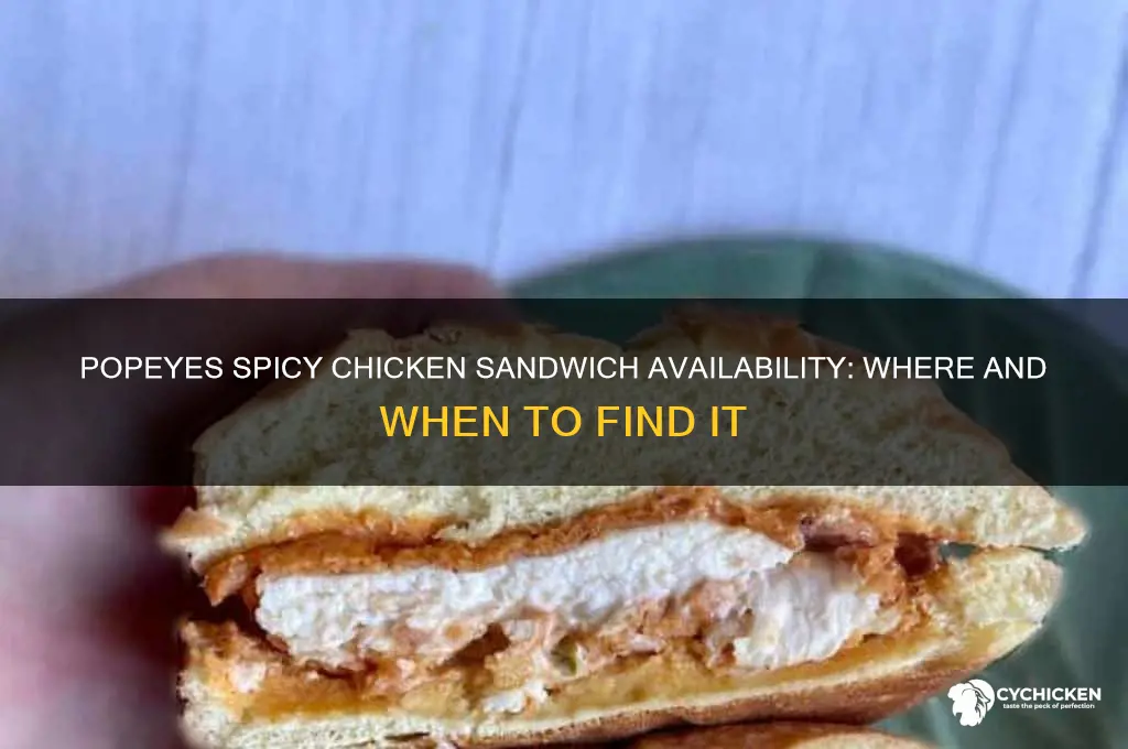 is the popeyes spicy chicken sandwich availability