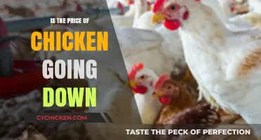Will Chicken Prices Drop Soon? Analyzing Market Trends and Predictions