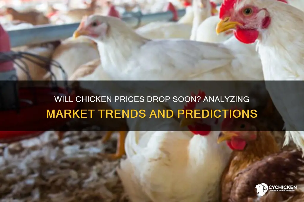 is the price of chicken going down
