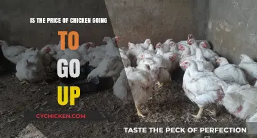 Chicken Prices: What's the Future Outlook?
