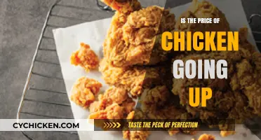 Rising Chicken Prices: What’s Driving the Cost Increase in 2023?