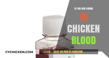 Is the Red Liquid in Chicken Blood or Something Else?