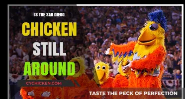 Is the San Diego Chicken Still Entertaining Fans Today?