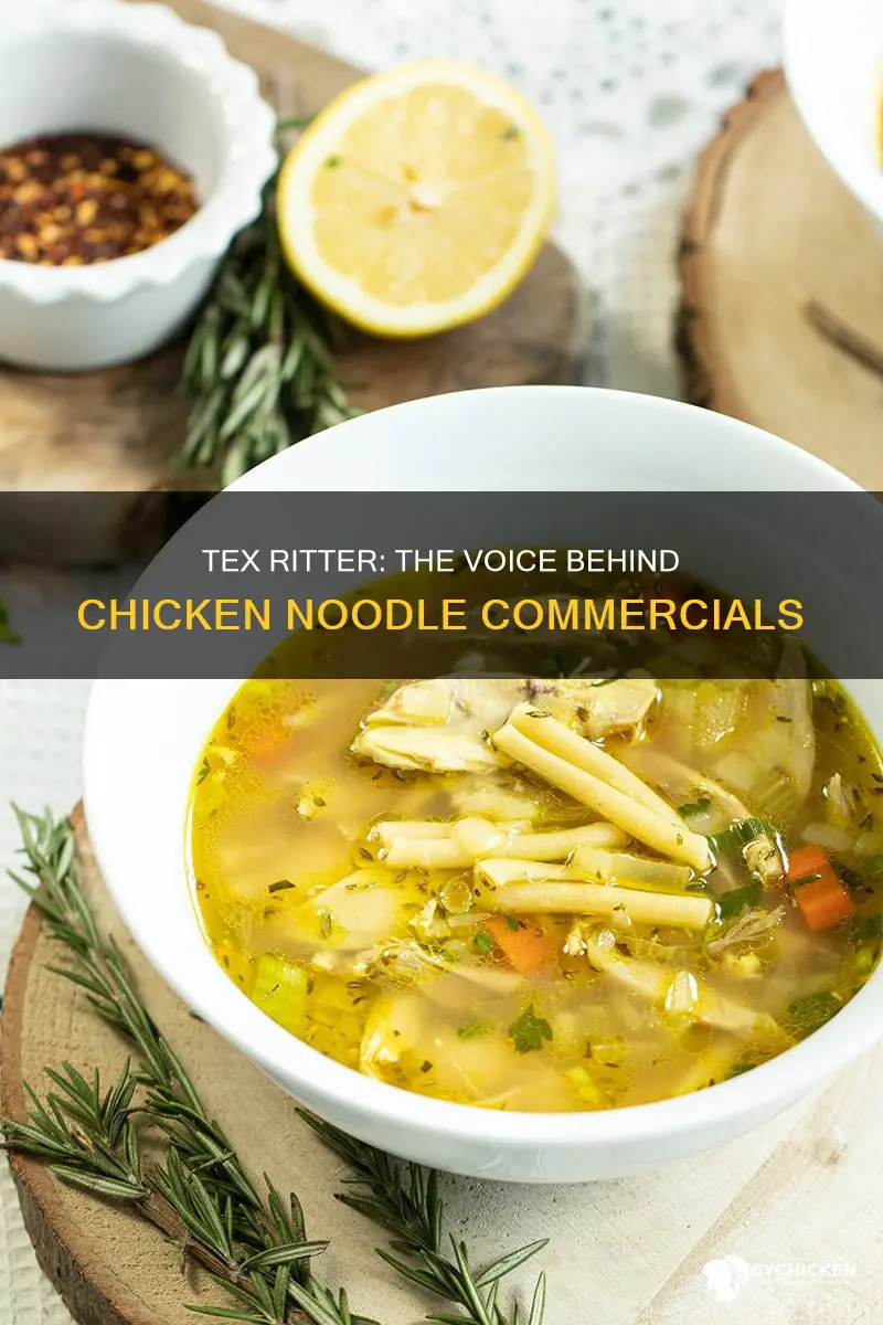 is the singer in the chicken noodle commercial tex ritter
