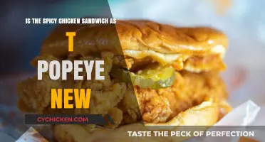 Is Popeye's New Spicy Chicken Sandwich Worth the Hype?