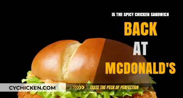 Is McDonald's Spicy Chicken Sandwich Back? Latest Updates & Availability
