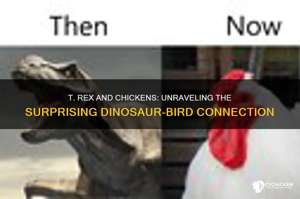 is the t rex related to the chicken