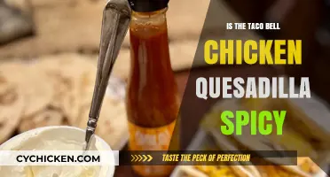 Is Taco Bell's Chicken Quesadilla Spicy? A Taste Test