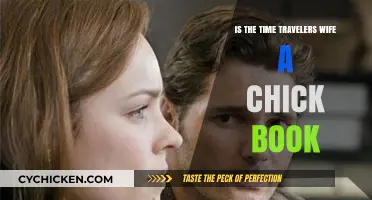Is 'The Time Traveler's Wife' a Chick Lit Novel?