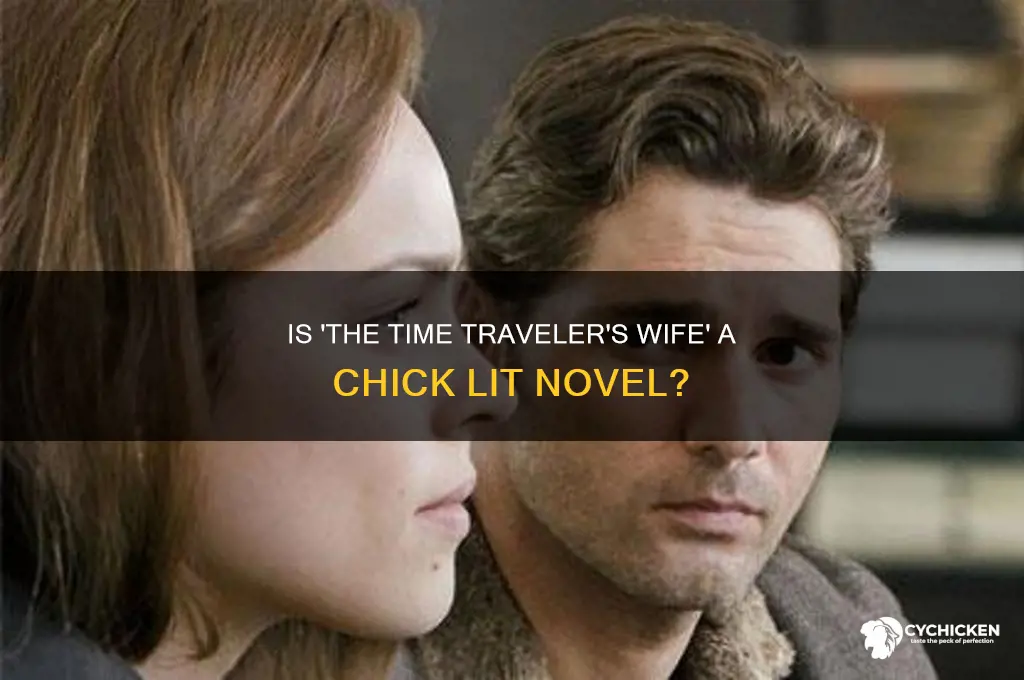 is the time travelers wife a chick book