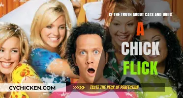 The Truth About Cats & Dogs: Chick Flick or Not?