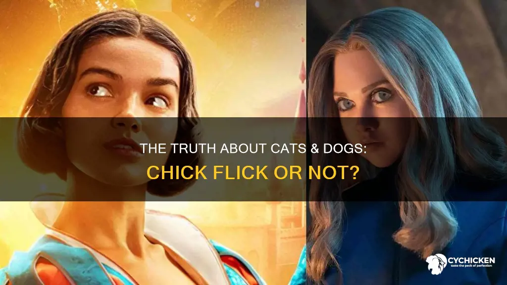 is the truth about cats and dogs a chick flick