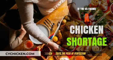 Is the US Facing a Looming Chicken Shortage Crisis?